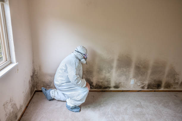 Richfield, UT Mold Remediation Company